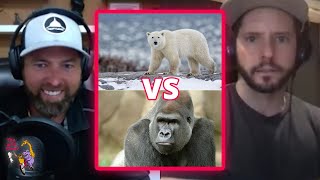 Who Wins Polar Bear vs Silverback Gorilla [upl. by Eelyak]