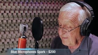 Blue Microphones Spark Vs Neumann U87 AI  Blind Test Results [upl. by Bozovich]