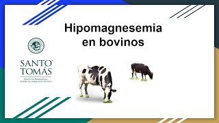 Hipomagnesemia en bovinos [upl. by Legir]