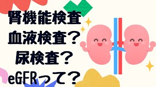 腎機能の検査は血液検査？尿検査？eGFRって？ [upl. by Cacilie]