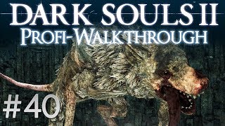 Dark Souls 2 Profi Walkthrough 40  Königlicher Rattenprüfer [upl. by Alyakcim341]