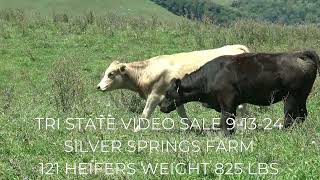 TRI STATE VIDEO SALE 91324 AT 1PM [upl. by Averir]