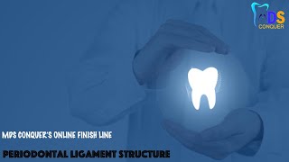 Periodontal ligament structures [upl. by Yehc834]