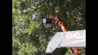 LimbSaw LSC Circular Tree Saw [upl. by Kathlin96]