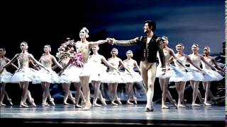 Roberto Bolle  Curtain Call  Swan Lake 2862014  Met  New York [upl. by Ocirled]