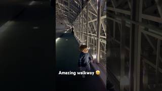 Amazing find above Kyoto station 🤩 twins cute funny travel family japan mom dad lights [upl. by Deyas]