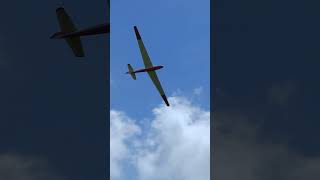 LF107 Black Horse  6m giant scale RC glider rcglider rcaerotow [upl. by Ajssatsan]