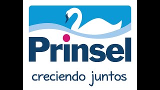 Prinsel 40 years Anniversary [upl. by Yrocal]