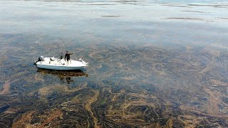 STRANDED  San Diego Inshore Fishing [upl. by Anelyak]