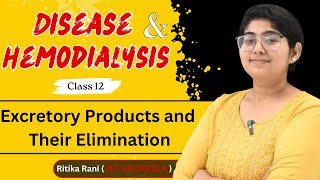 Diseases and hemodialysis class 12 biology  Excretory Products and Their Elimination [upl. by Moses]