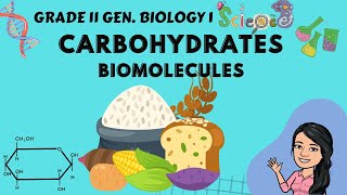 Carbohydrates  Monosaccharides Disaccharides amp Polysaccharides  Grade 11 Gen Biology 1 Tagalog [upl. by Bridges]