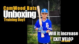 CamWood Bats Training day 1 [upl. by Deeraf]