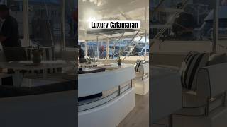 Luxury catamaran in Cape Town shorts viralshorts [upl. by Macey]