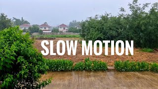 Raining slow motion footage [upl. by Cyrie]