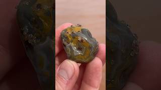 Lovely limonite stained agate found on beach shorts agate rockhounding geology [upl. by Notak560]