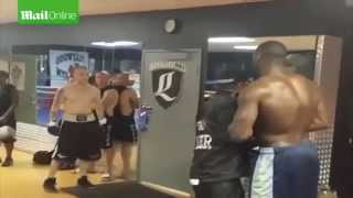 Deontay Wilder Knocks Out Internet Troll Charlie Zelenoff In Real Life [upl. by Hilton]