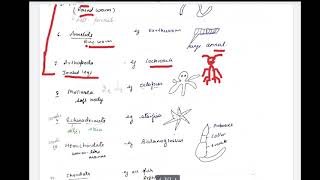 class 11 basis of classification [upl. by Arebma789]