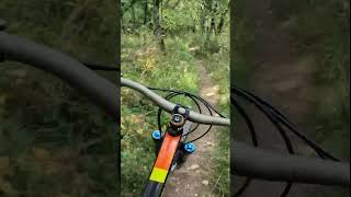 shorts 298  VTT MTB DH ENDURO RIDING [upl. by Nike274]