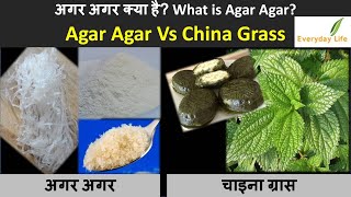 Agar Agar Vs China Grass  अगर अगर और चाइना ग्रास में अन्तर क्या है  AgarFAQ  Everyday Life107 [upl. by Hollerman951]