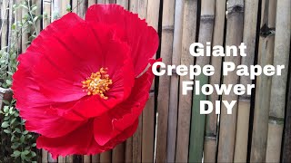 Pretty Giant Crepe Paper Flower DIY [upl. by Perrine]