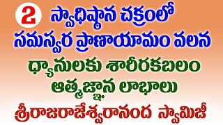 2స్వాధిష్ఠాన చక్రంలో సమస్వరా ప్రాణాయామం ధ్యానులకు శారీరకఆత్మజ్ఞాన లాభాలుశ్రీరాజరాజేశ్వరానందస్వామి [upl. by Alric]