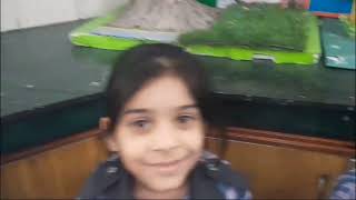 Hobby Classes and Activites 2024  Fahan International School B3 Yamuna Vihar Delhi53 [upl. by Ayidah942]