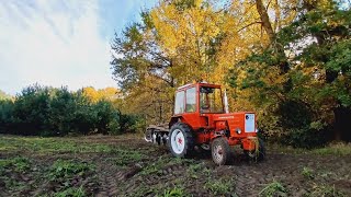 Talerzowanie mieszanki poplonowej rzodkiew facelia Władkiem t25 t25 talerzowanie poplon autumn [upl. by Lien370]