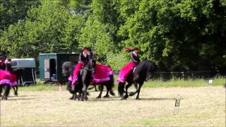 Friese Paarden Show [upl. by Uwkuhceki86]