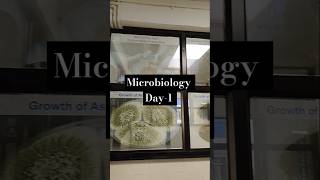 Day1 Microbiology daily practical science microbiology [upl. by Faubert]