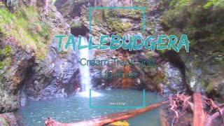 Tallebudgera Valley Cream Track and waterfall [upl. by Oivalf]