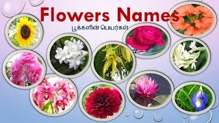 Flowers names in Tamil amp English with images  பூக்களின் பெயர்கள்  Learn flowers name for kids [upl. by Issiah]