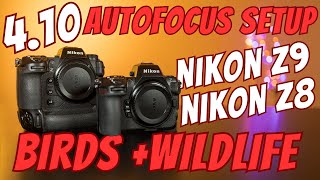 Nikon Z8 and Z9  410 Autofocus Setup and Button Layout for Bird and Wildlife Photography [upl. by Tierza]