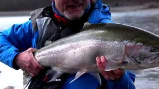 The Mighty Skeena  Spring Steelhead at its Best [upl. by Acirt451]