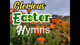 Glorious Easter HymnsSongsKriss Rhoda SheshyLifebreakthroughMusic [upl. by Alston818]