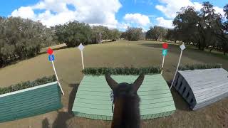 Lissavorra Quality Open Preliminary  2024 Rocking Horse Winter I Horse Trials [upl. by Dorelle]