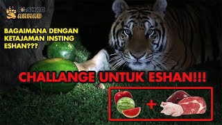 CHALLENGE ESHAN PADA MALAM HARI  HASILNYA DILUAR DUGAAN [upl. by Vaas407]