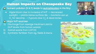 AP Environmental Science 46  Watersheds [upl. by Everett282]