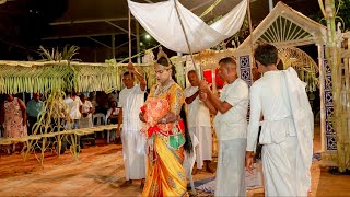 Gods Paththini Dance part 02 🔴 SriLanka Gammadu Shanthi Karmya හළඹ ශාන්තිය  ගංගාරාම ගම්මඩුව [upl. by Anileuqcaj]