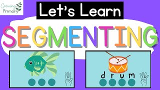 Lets Learn SEGMENTING WORDS Phonemic Awareness [upl. by Ramas557]