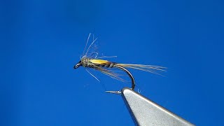 Tying a DiawlBach Quilled Nymph with Davie McPhail [upl. by Aserahs]