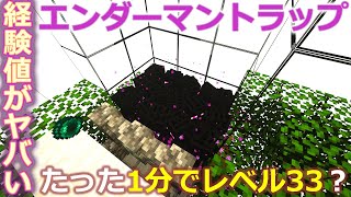 マインクラフト ┃1分間でレベル33まであがる海外配信者さんのエンダーマントラップを魔改造！1144115対応 085【ぽこなかくら 2020】 [upl. by Glanti]