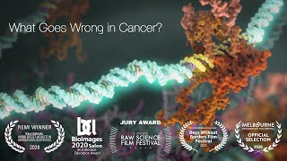 What Goes Wrong in Cancer [upl. by Scopp]