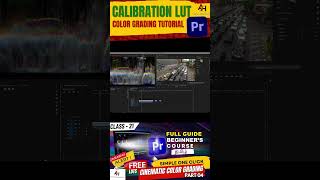 Master Calibration LUTs in Premiere Pro in 60 Seconds 🎨✨ [upl. by Jemena770]