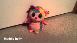 The new intro for my new Beanie Boo series [upl. by Rednave]