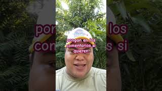 Un ostión sin progenitora acapulco comidademexico food ostiones quehaydecomer [upl. by Akemit]