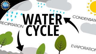 Water Cycle  How the Hydrologic Cycle Works [upl. by Llebyram]