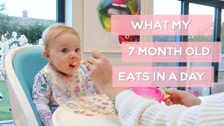 WHAT MY 7MONTH OLD EATS IN A DAY [upl. by Lesser]