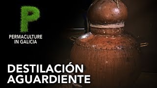 Destilación aguardiente gallego  4K Español  Permacultura en Galicia [upl. by Aihsiyt]