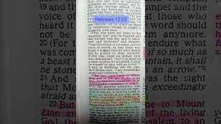 Hebrews 1222youtubeshorts bibleversebiblestudy hopefaith loveshortsverseofthedayscripture [upl. by Hadley]