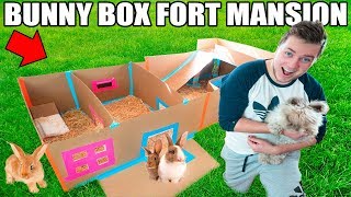 WORLDS CUTEST BOX FORT 📦🐰 Bunny Box Fort W Pool Movie Theatre amp More [upl. by Genny]